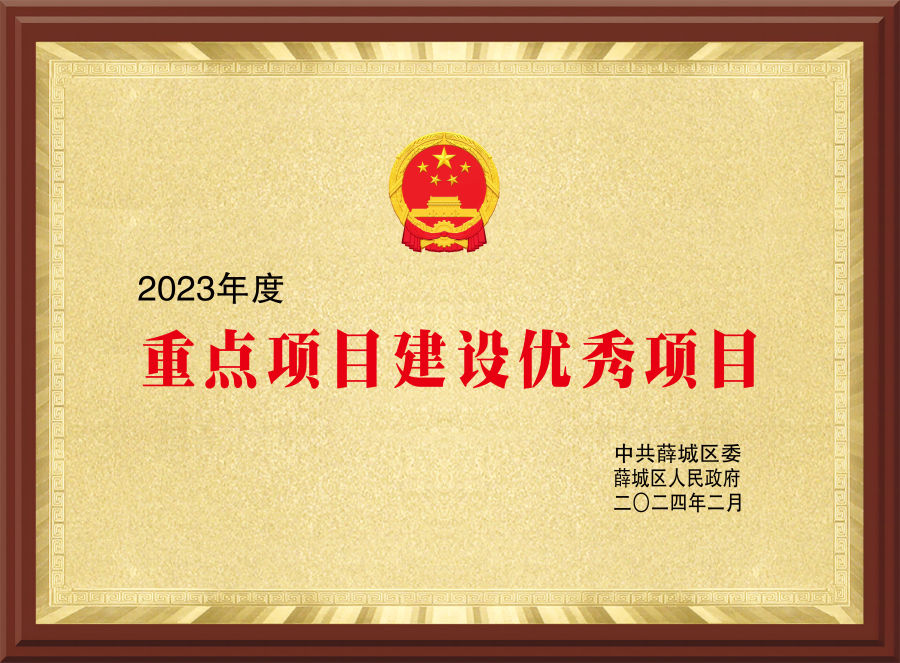 重点项日建设优秀项目